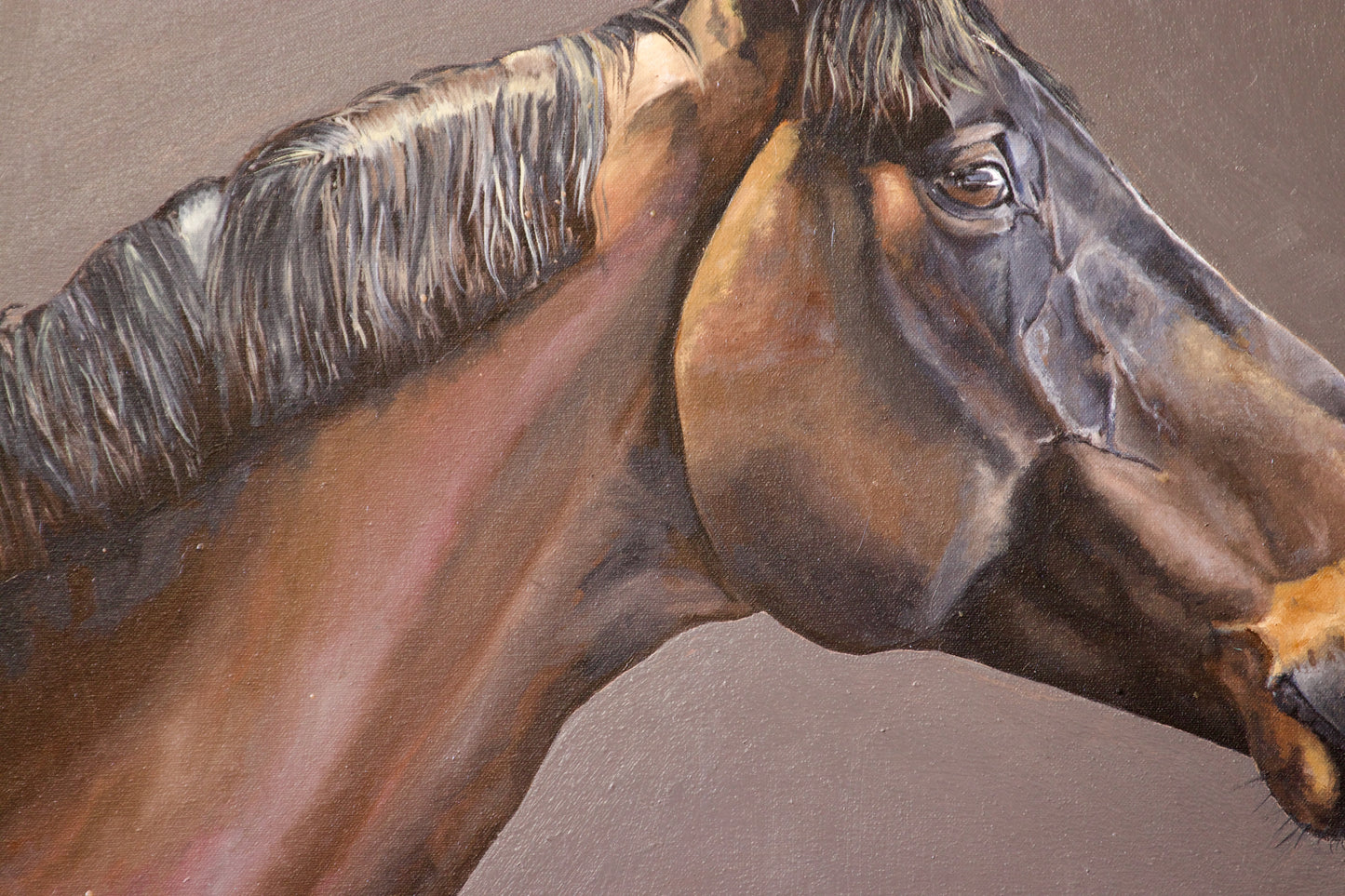 Original horse portrait oil painting on neutral background by Bella Munday