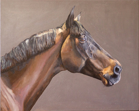 Original horse portrait oil painting on neutral background by Bella Munday