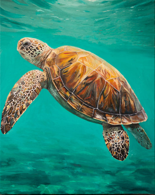 Original oil painting of a sea turtle ocean background by Bella Munday