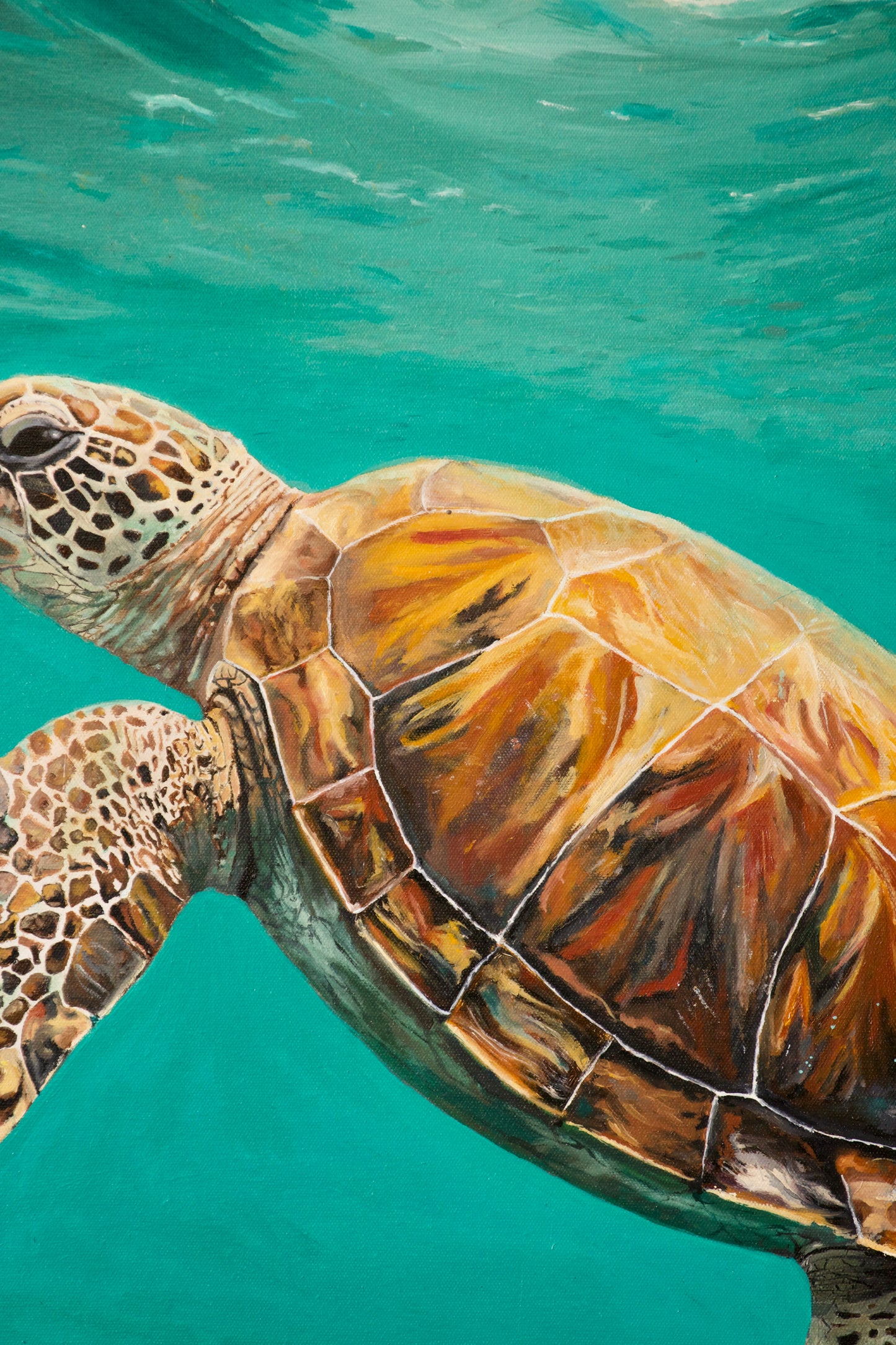 Original oil painting of a sea turtle ocean background by Bella Munday